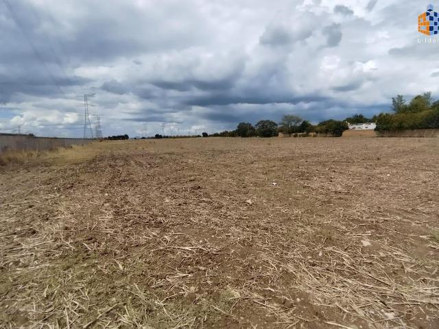 Terreno en Venta en Carretera Mezquital Durango