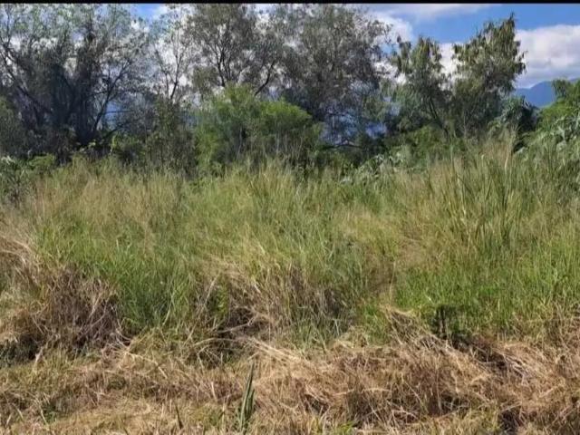 Terreno en venta en Carretera Nacional en Allende