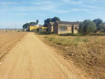 Miranda, Torre Vieja, Villamartin, Alicante, Urbanización Lomas D Juan Este, Alicante, Comunidad Valenciana, Comunidad Valenciana