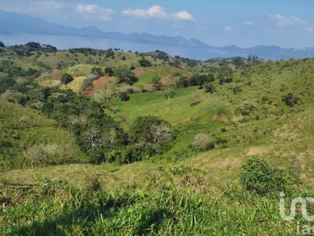 TERRENO EN VENTA EN CATEMACO, VERACRUZ | 8.11 HA CON PRESA Y POTENCIAL CAMPESTRE
