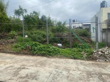 Terreno en Venta en Cedros Limón