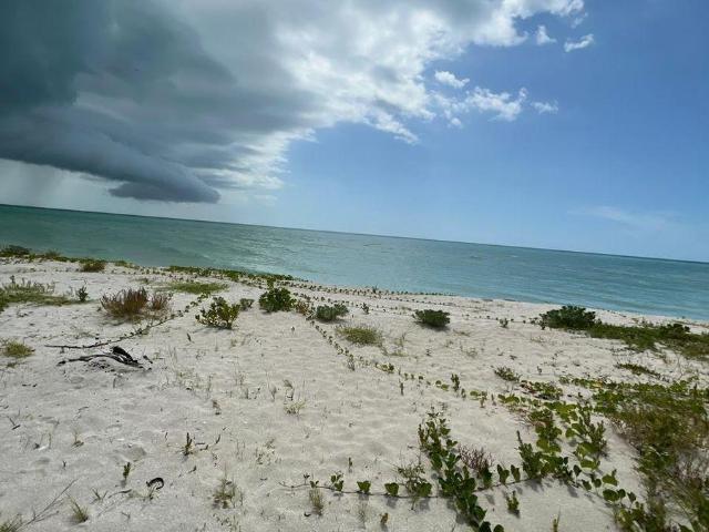 Terreno en venta en Celest?n Yucat?n, Frente al mar