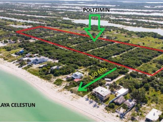 Terreno en venta en Celestun, Celestún, Yucatán