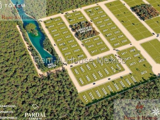 Terreno en Venta en Celestun,Pueblo de Celestun AF 25 2656