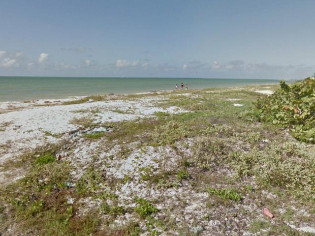 Terreno en Venta en Celestún