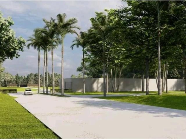 Terreno en venta en Centro Jiutepec, Jiutepec, Morelos