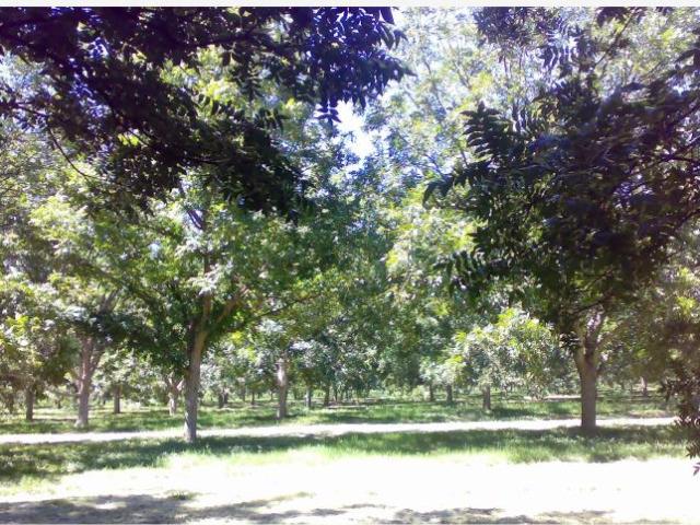 Terreno en venta en Centro Metropolitano, Saltillo, Coahuila de Zaragoza