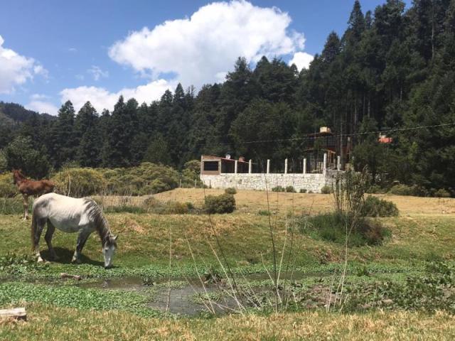 Terreno en venta en Centro, Pachuca de Soto, Hidalgo
