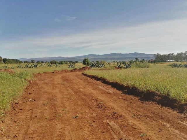 Terreno en venta en Cerritos, Huasca de Ocampo, Hidalgo