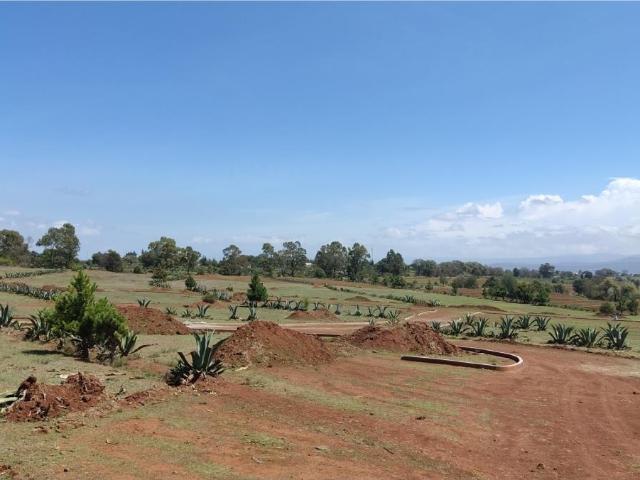 Terreno en venta en Cerritos, Huasca de Ocampo, Hidalgo