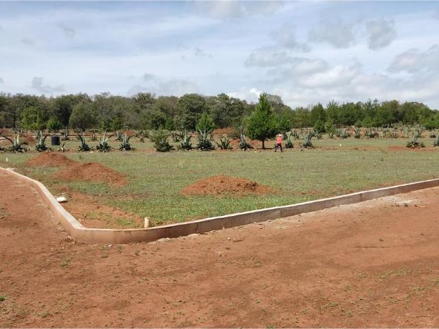 Terreno en venta en Cerritos, Huasca de Ocampo, Hidalgo