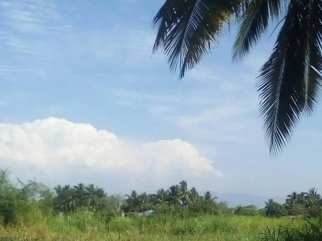 Terreno en venta en Cerro de Ortega, Tecomán, Colima