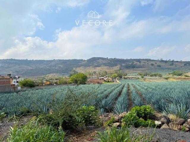 TERRENO EN VENTA EN CERRO DE LA CAMPANA, ZAPOTLANEJO, JALISCO