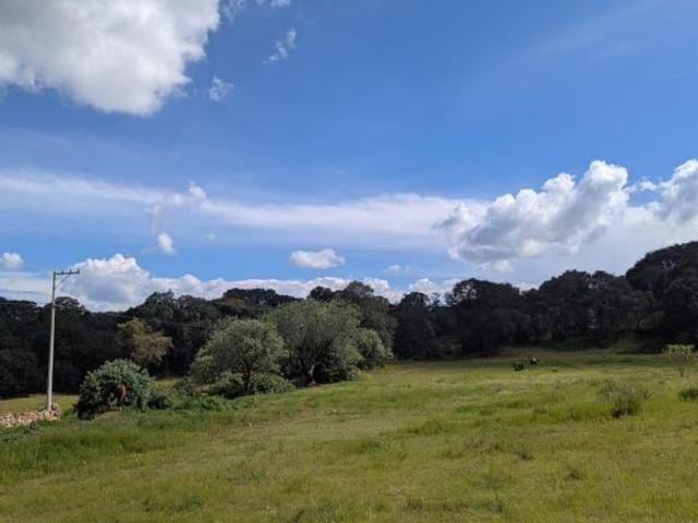 Terreno en Venta en Cerró de los Gallos Amealco de Bonfil Querétaro