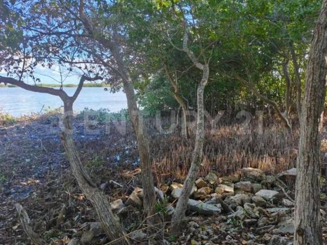 Terreno en Venta en Chabihau, Yucatán