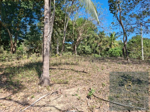 Terreno en venta en Chacalmata, a 5 min del centro de Santa Mar?a Huatulco, Oax