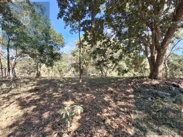 Terreno en venta en Chacalmata, a 5 min del centro de Santa Mar?a Huatulco, Oax