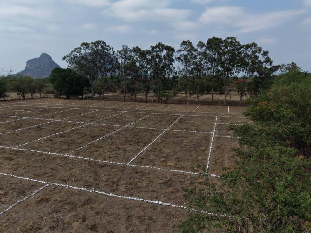 TERRENO EN VENTA EN CHALCATZINGO AL ORIENTE DE MORELOS, LOTES DE 200 M2 MUNICIPIO DE JONACATEPEC