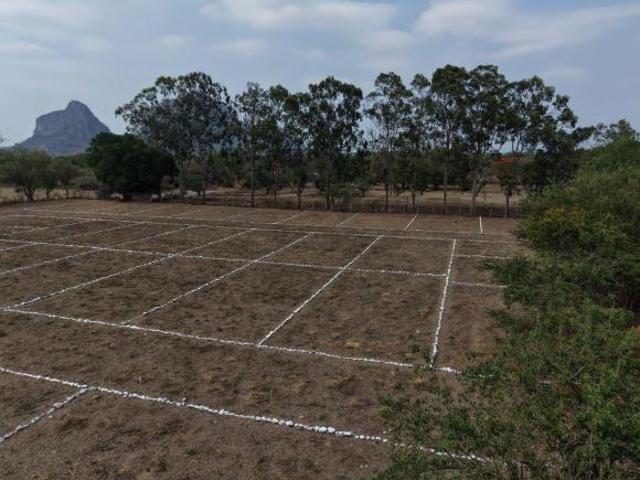 TERRENO EN VENTA EN CHALCATZINGO AL ORIENTE DE MORELOS, LOTES DE 200 M2 MUNICIPIO DE JONACATEPEC