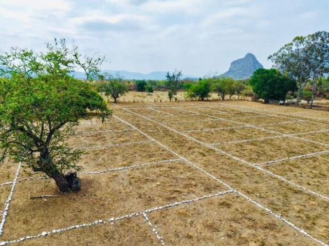 TERRENO EN VENTA EN CHALCATZINGO AL ORIENTE DE MORELOS, LOTES DE 200 M2 MUNICIPIO DE JONACATEPEC