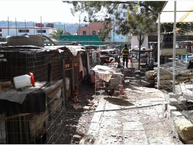 Terreno en venta en Chapultepec Norte, Morelia, Michoacán de Ocampo