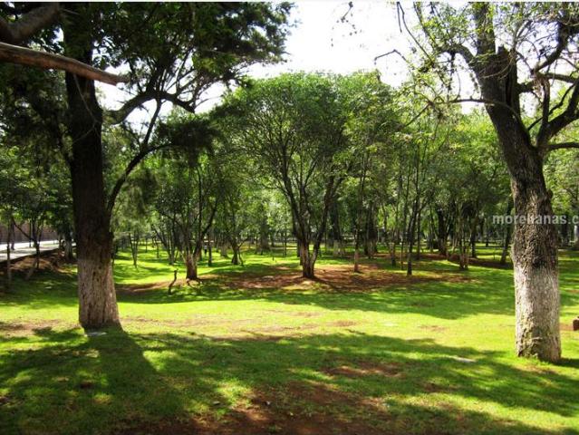 Terreno en venta en Chapultepec Norte, Morelia, Michoacán de Ocampo