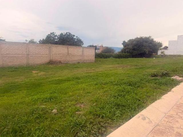 Terreno en Venta en Chapala Florentina Residencial 49