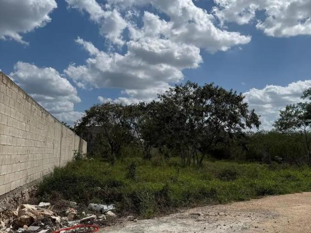 TERRENO EN VENTA EN CHICHI SUAREZ, MERIDA, YUCANTAN