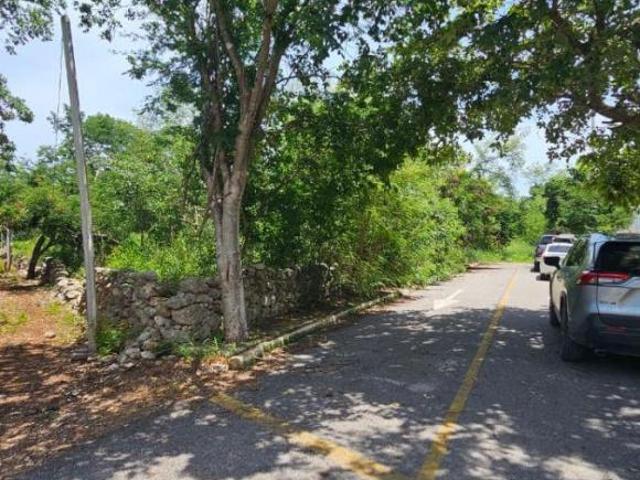 TERRENO EN VENTA EN CHICHÍ SUÁREZ, MÉRIDA