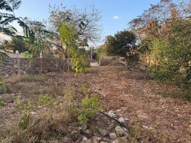 TERRENO EN VENTA EN CHICHI SUÁREZ, MÉRIDA