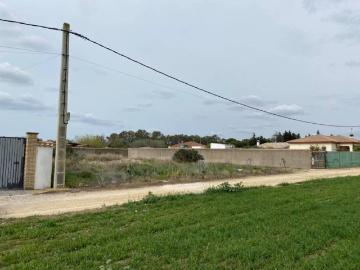 Alameda del Rio, Centro de Chiclana de la Frontera, Los Gallos, Cádiz, Andalucía, Andalucía