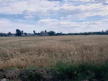 Camino del Palmar, Campano, Chiclana de la Frontera, Cádiz, Andalucía, Andalucía