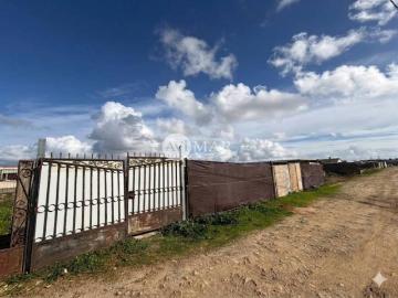 Alameda del Rio, Centro de Chiclana de la Frontera, Los Gallos, Cádiz, Andalucía, Andalucía