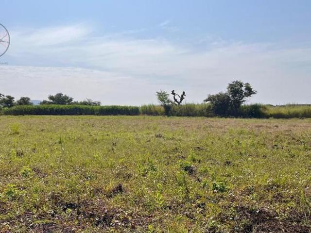 Terreno en Venta en Chiconcuac Morelos