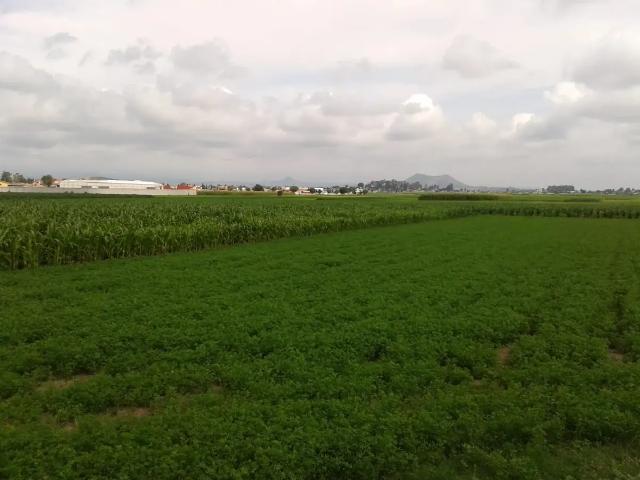 Terreno en Venta en Chipilo de Francisco Javier Mina, Puebla Espacio Residencial