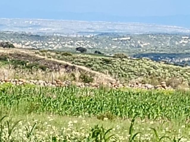 Terreno en Venta en Cieneguita Durango
