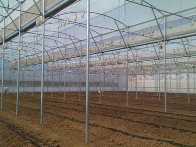 Terreno en Venta en Ciudad Guzman