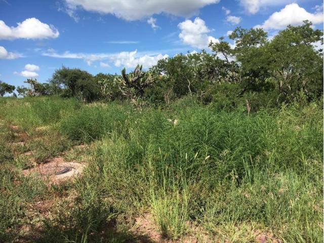 Terreno en venta en Ciudad Maderas, El Marqués, Querétaro