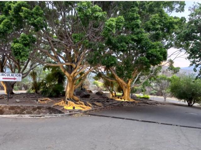 Terreno en venta en Club de Golf Hacienda San Gaspar, Jiutepec, Morelos