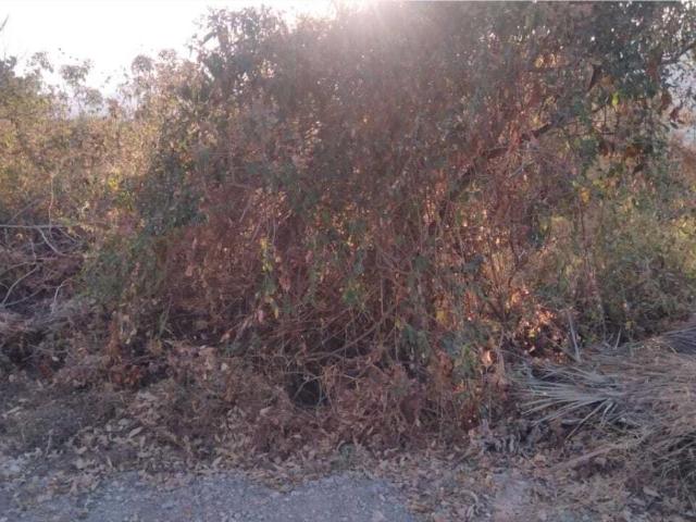 Terreno en venta en Club de Golf Hacienda San Gaspar, Jiutepec, Morelos