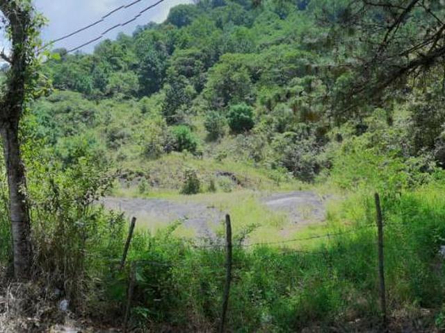 Terreno en venta en Coacoatzintla Ver sobre carretera con banco de grava