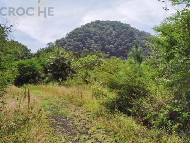 Terreno en venta en Coacoatintla Veracruz KM 9 con produccion de piedra