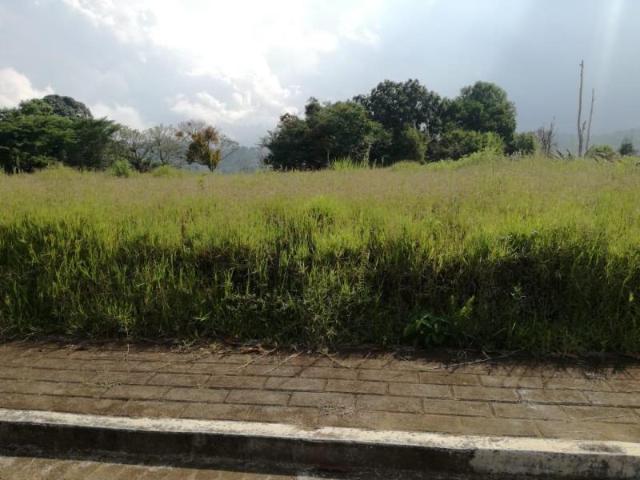 Terreno en venta en Coapexpan, Xalapa, Veracruz de Ignacio de la Llave