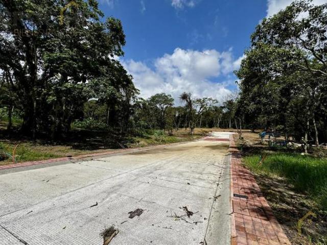 Terreno en venta en Coatepec Veracruz fraccionamiento Santa Cruz