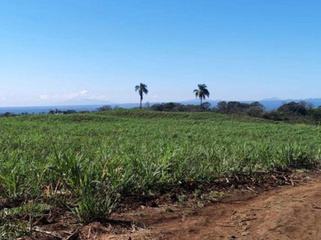 Terreno en venta en Coatepec
