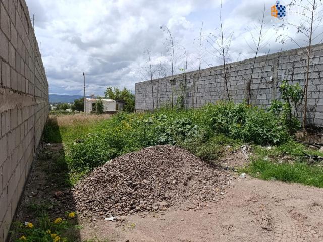 Terreno en Venta en Col. Del Bosque Durango