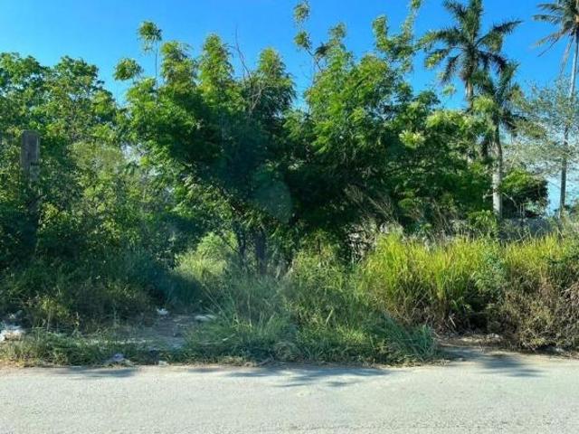 TERRENO EN VENTA EN COL. LINDAVISTA PUEBLO VIEJO, VER. REMATE $850,000