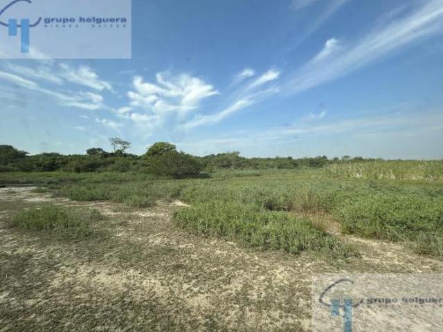 TERRENO EN VENTA EN COL. NUEVO MADERO Y LOS FRESNOS, MIRAMAR, ALTAMIRA, TAM