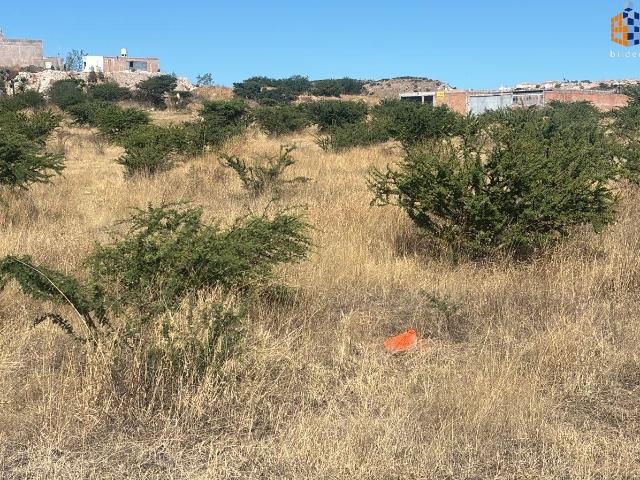 Terreno en Venta en Col. Pedregal San Pedro Durango