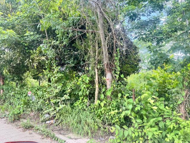 TERRENO EN VENTA EN COL REVOLUCION VERDE, POZA RICA